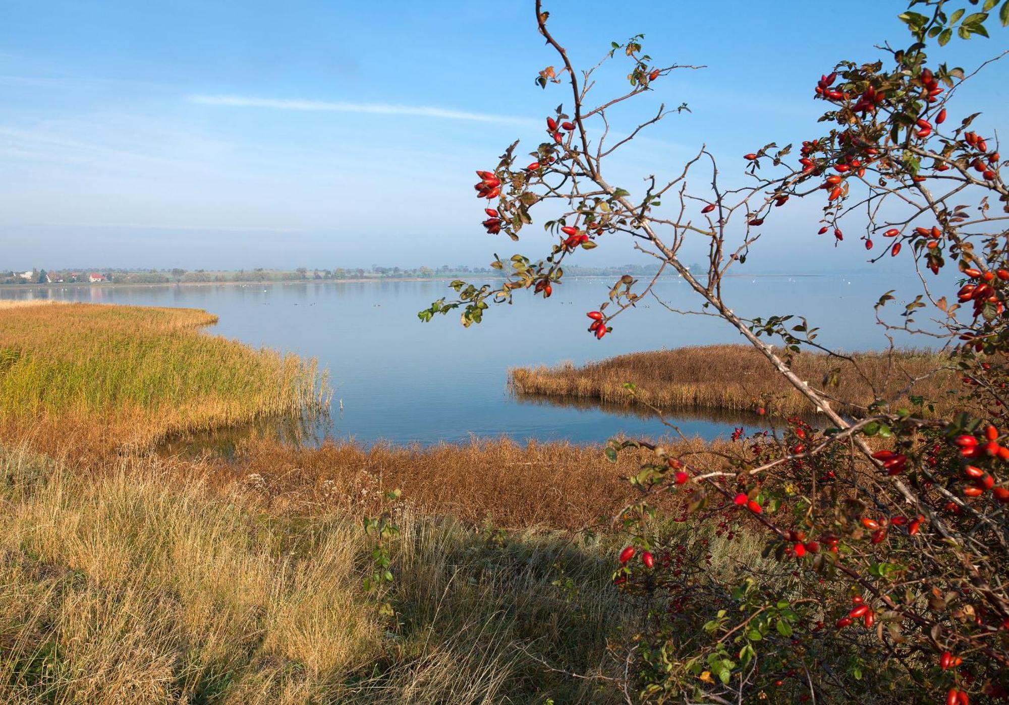 Ferienanlage Poschmann Strohboden Insel Poel Luaran gambar