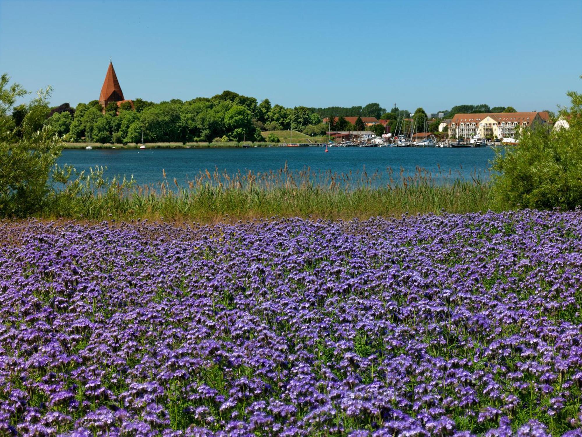 Ferienanlage Poschmann Strohboden Insel Poel Luaran gambar