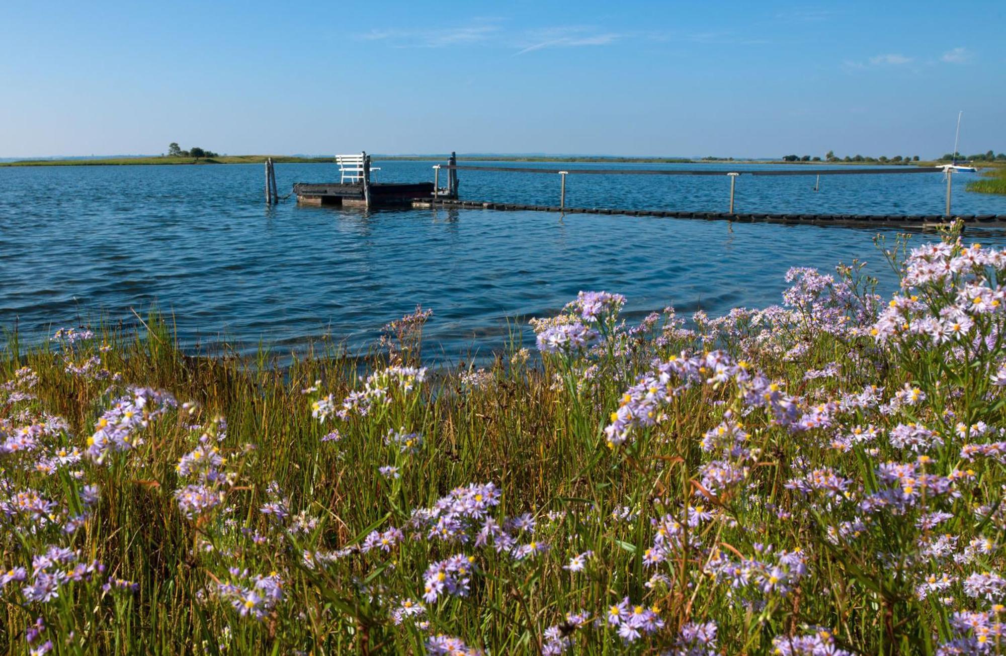 Ferienanlage Poschmann Strohboden Insel Poel Luaran gambar