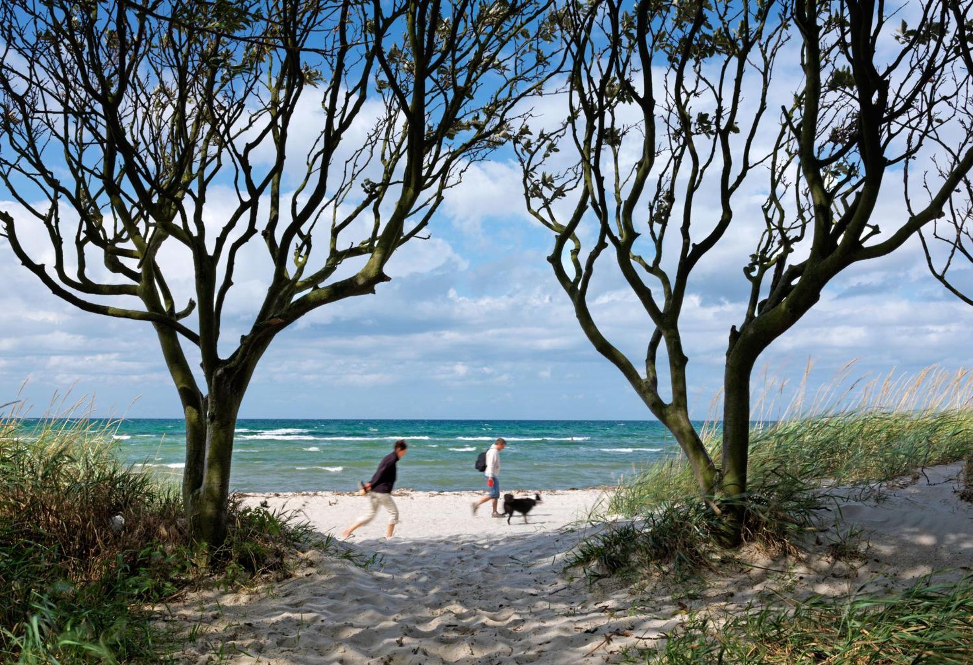 Ferienanlage Poschmann Strohboden Insel Poel Luaran gambar